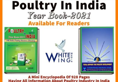 India’s Best Poultry Business Directory